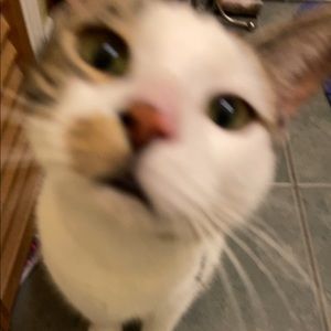 Meet your Posher, Maria